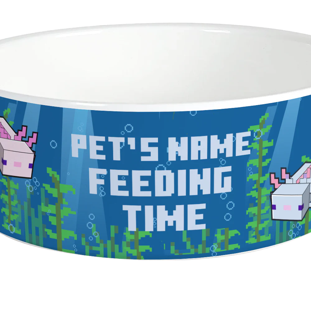 Minecraft Axolotl Feeding Time Personalized Pet Bowl - Image 2