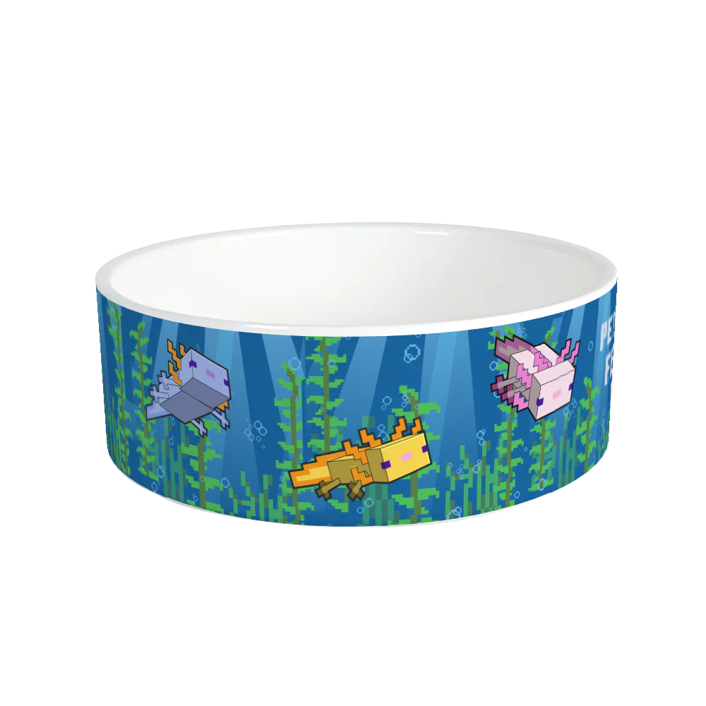 Minecraft Axolotl Feeding Time Personalized Pet Bowl - Image 4