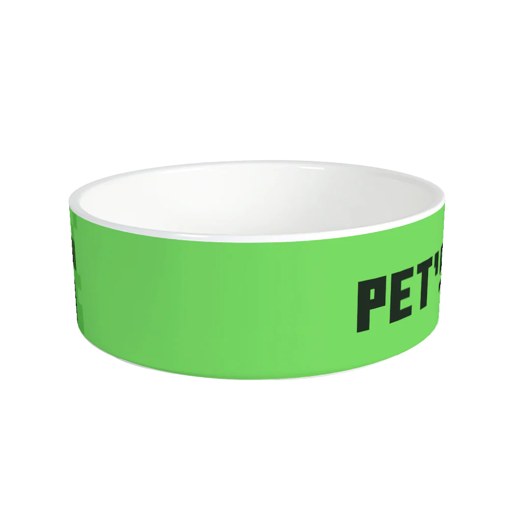 Minecraft Creeper Big Face Personalized Pet Bowl - Image 4
