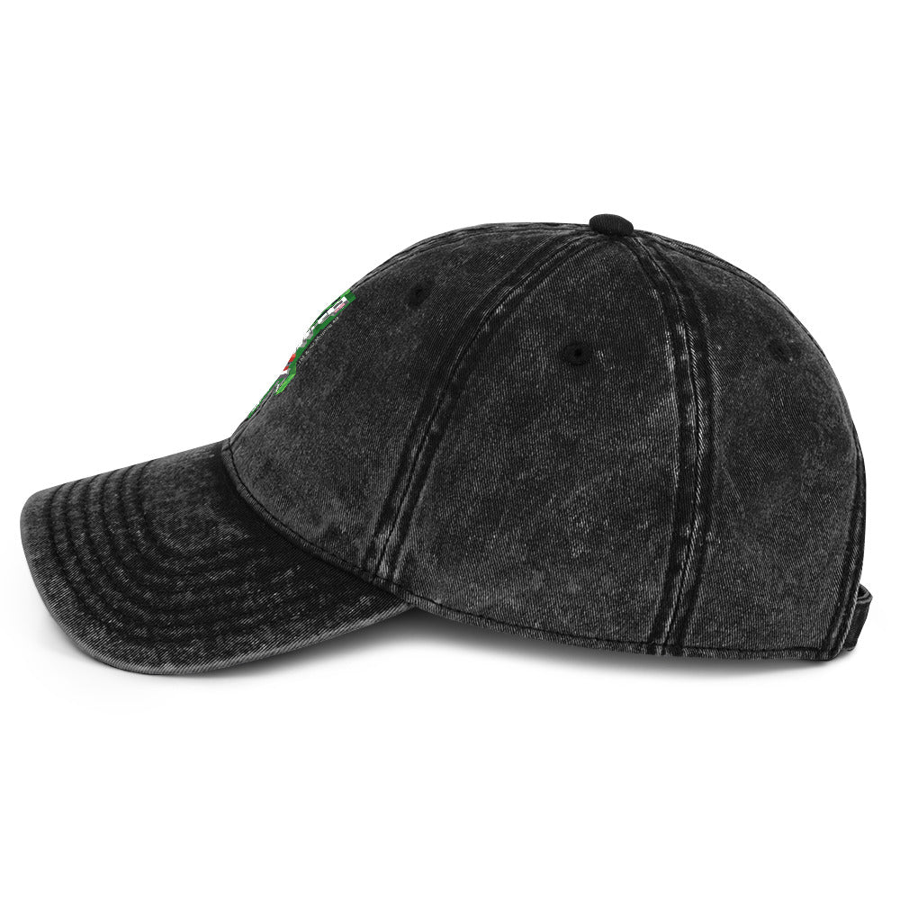 Minecraft Creeper Skeleton Vintage Cap - Image 3